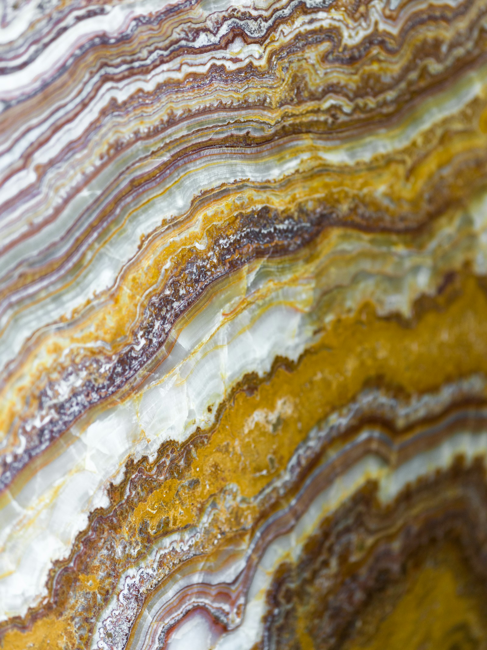 Polished onyx with wavy bands of gold, white, and brown